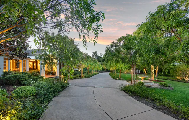 a view of a park with a tree