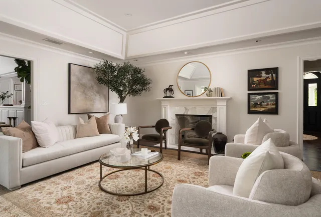 a living room with furniture potted plant and a fireplace