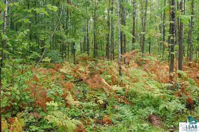 3-4 Lamont Road Bayfield, WI 54814 - Photo 10 of 18