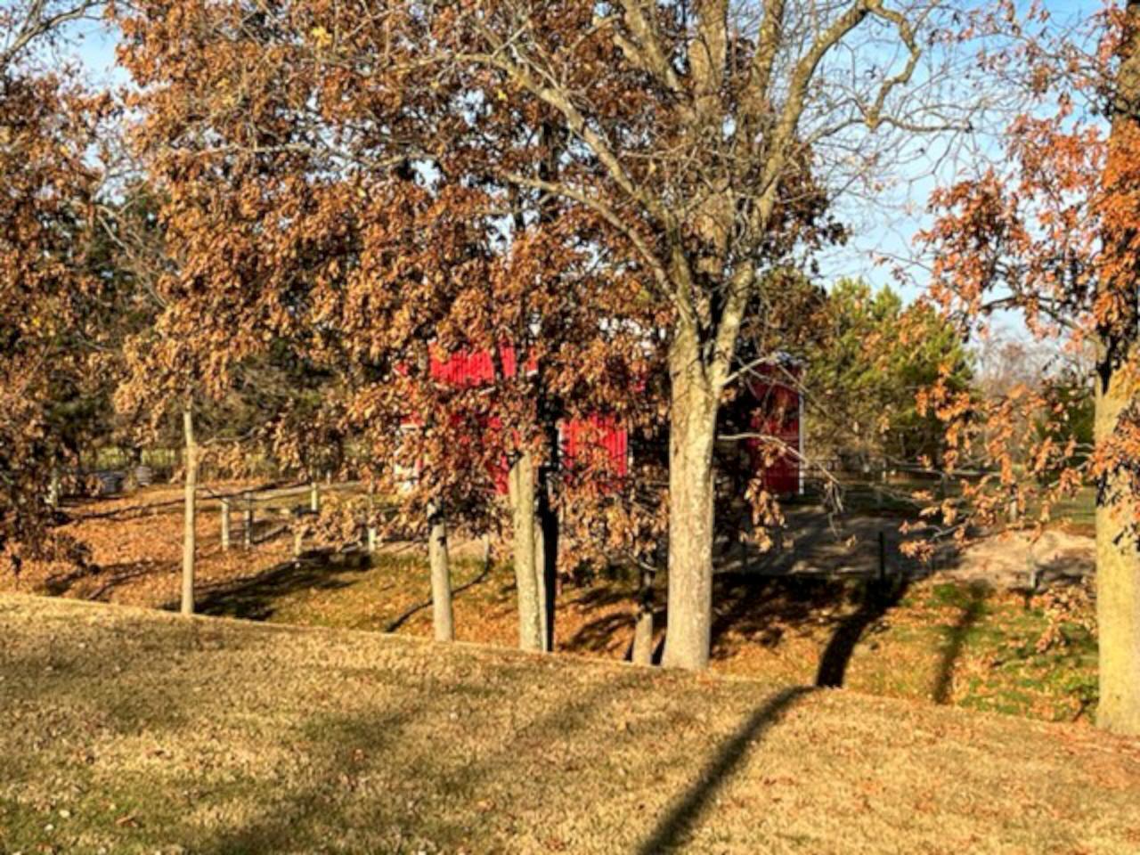 5530 Westfall Road Southwest Lancaster, OH 43130 - Photo 69 of 74 Side Yard