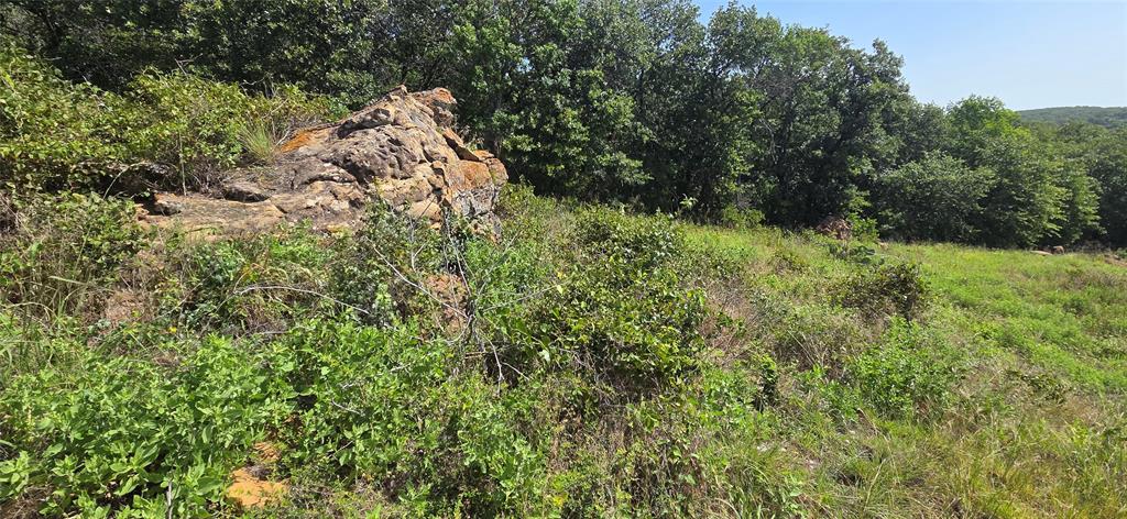 Tbd Nash Road Jacksboro, TX 76458 - Photo 1 of 28 Natural rock formations with varied textures, surrounded by dense green foliage and mature trees
