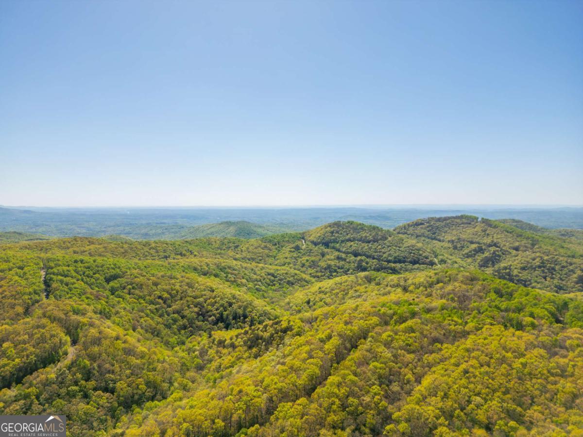 3184 St. Andrews Way Ellijay, GA 30536 - Photo 22 of 70