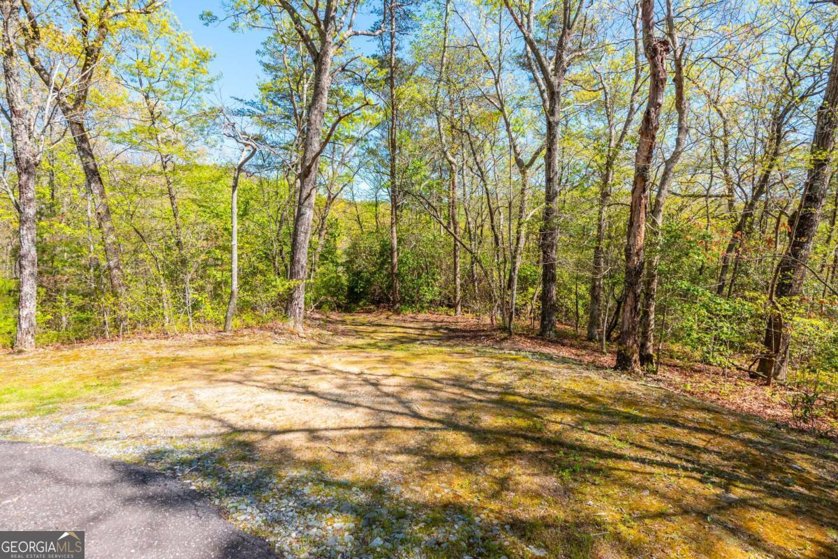 3184 St. Andrews Way Ellijay, GA 30536 - Photo 29 of 70