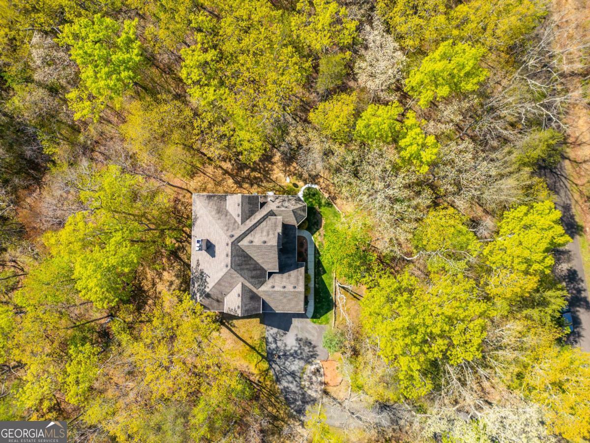 3184 St. Andrews Way Ellijay, GA 30536 - Photo 3 of 70