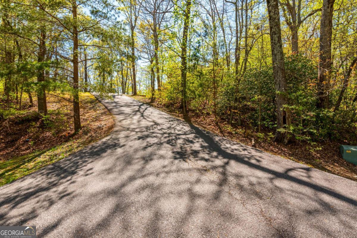 3184 St. Andrews Way Ellijay, GA 30536 - Photo 32 of 70