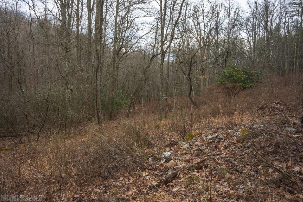 3 Long Mountain Road Southwest Willis, VA 24380 - Photo 60 of 66 Gallery Image 60