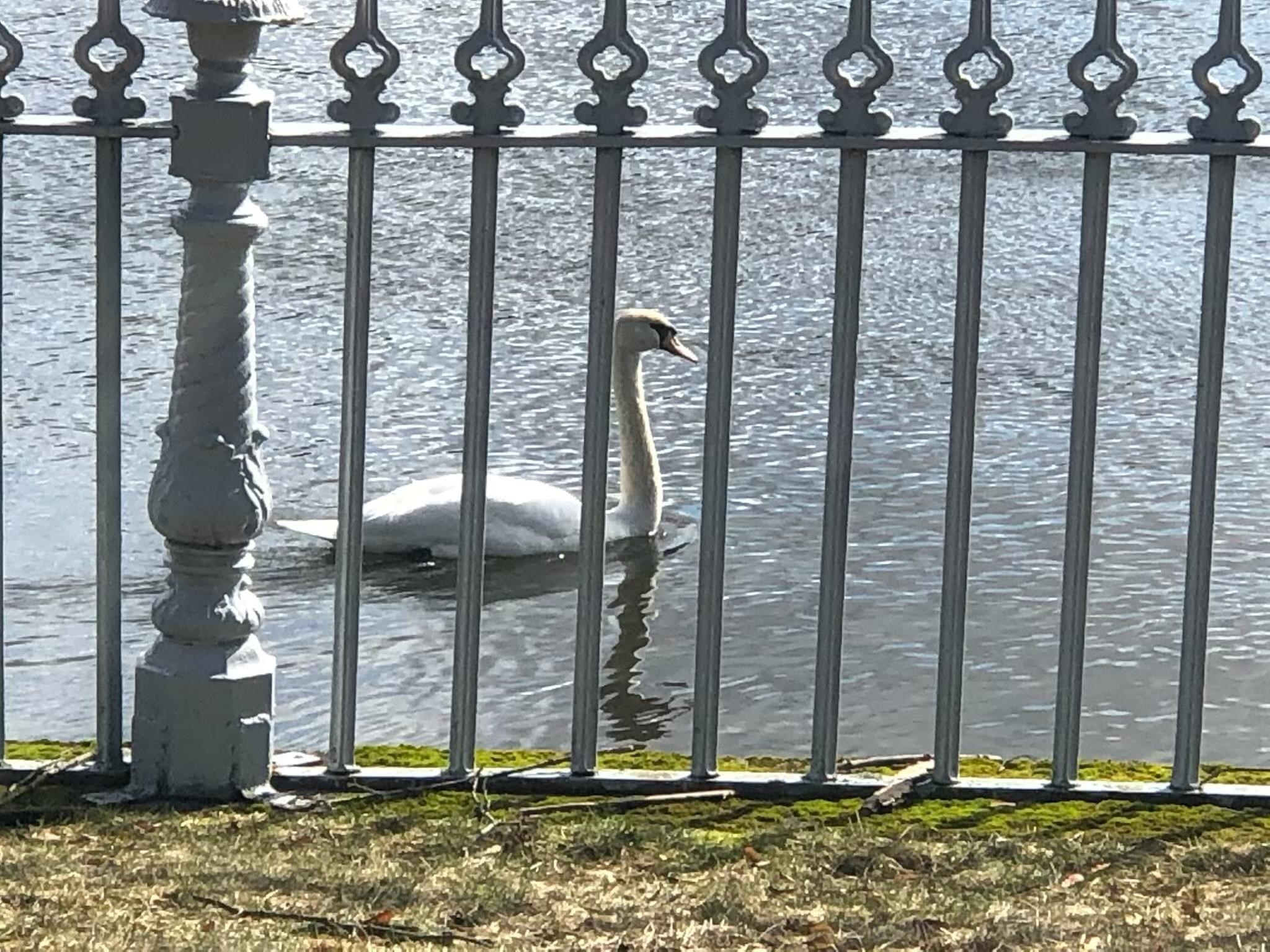 1119 Front Street Manchester, NH 03102 - Photo 54 of 57