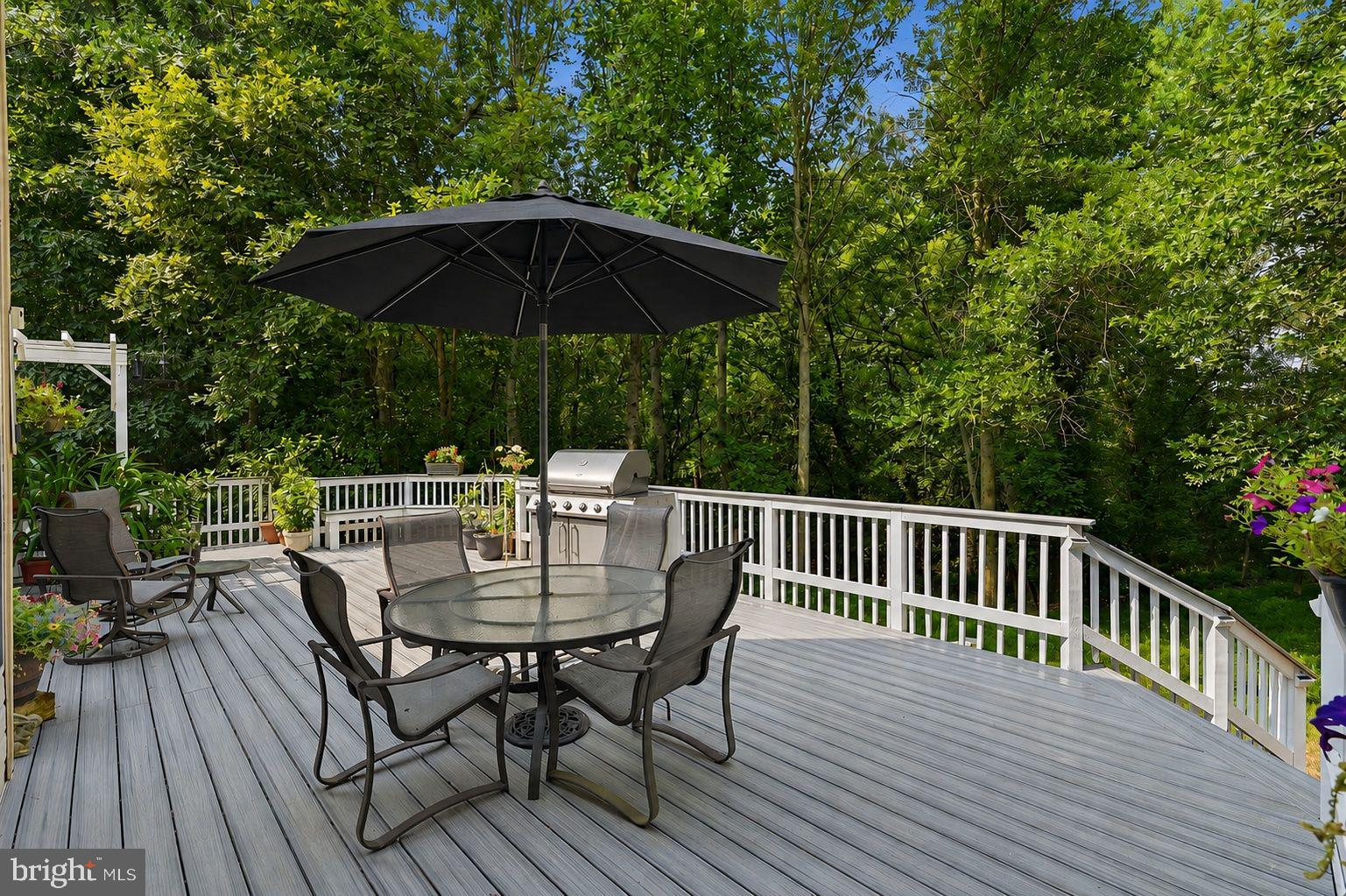 11640 Piney Spring Lane Potomac, MD 20854 - Photo 34 of 38 Rear Deck overlooking Forest Conservation