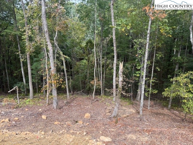 Peck Peak Road Jefferson, NC 28640 - Photo 18 of 22 Gallery Image 18