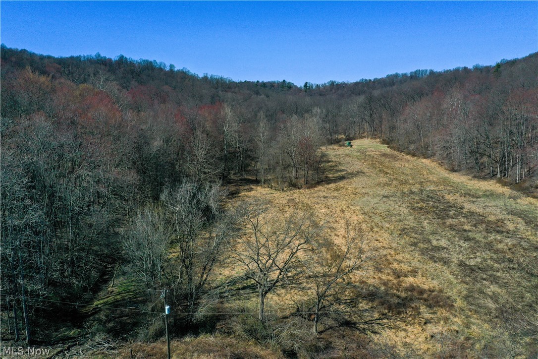 10345 Marne Road Frazeysburg, OH 43822 - Photo 4 of 50
