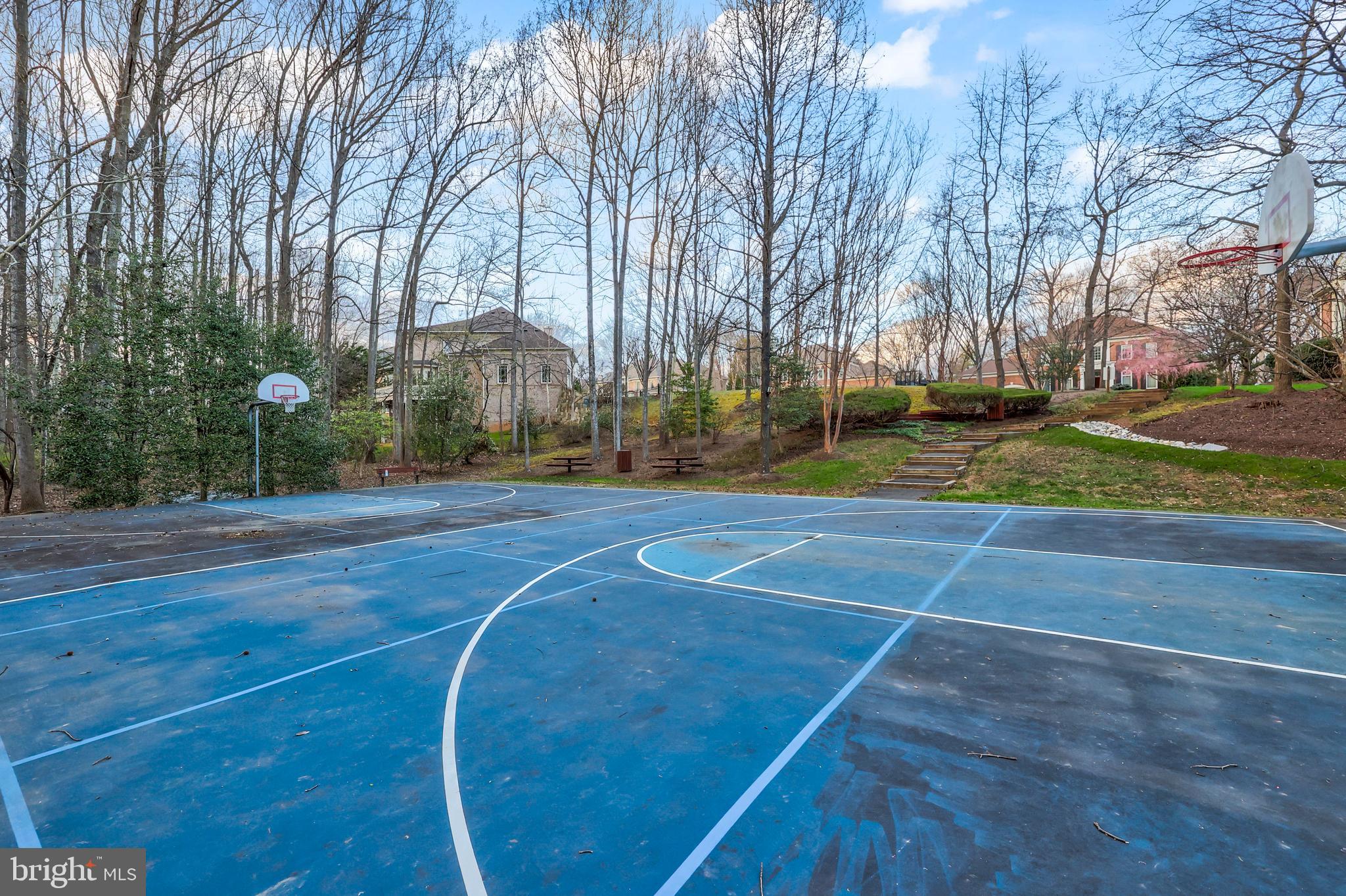 11103 Chessington Place Reston, VA 20194 - Photo 77 of 80