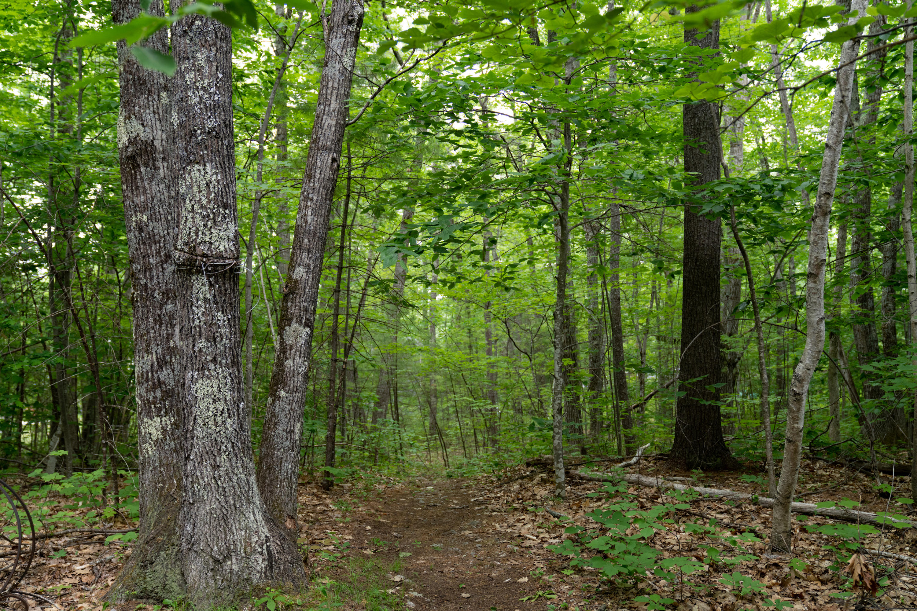 3 Kentwood Road Raymond, ME 04071 - Photo 20 of 32 DSC00377