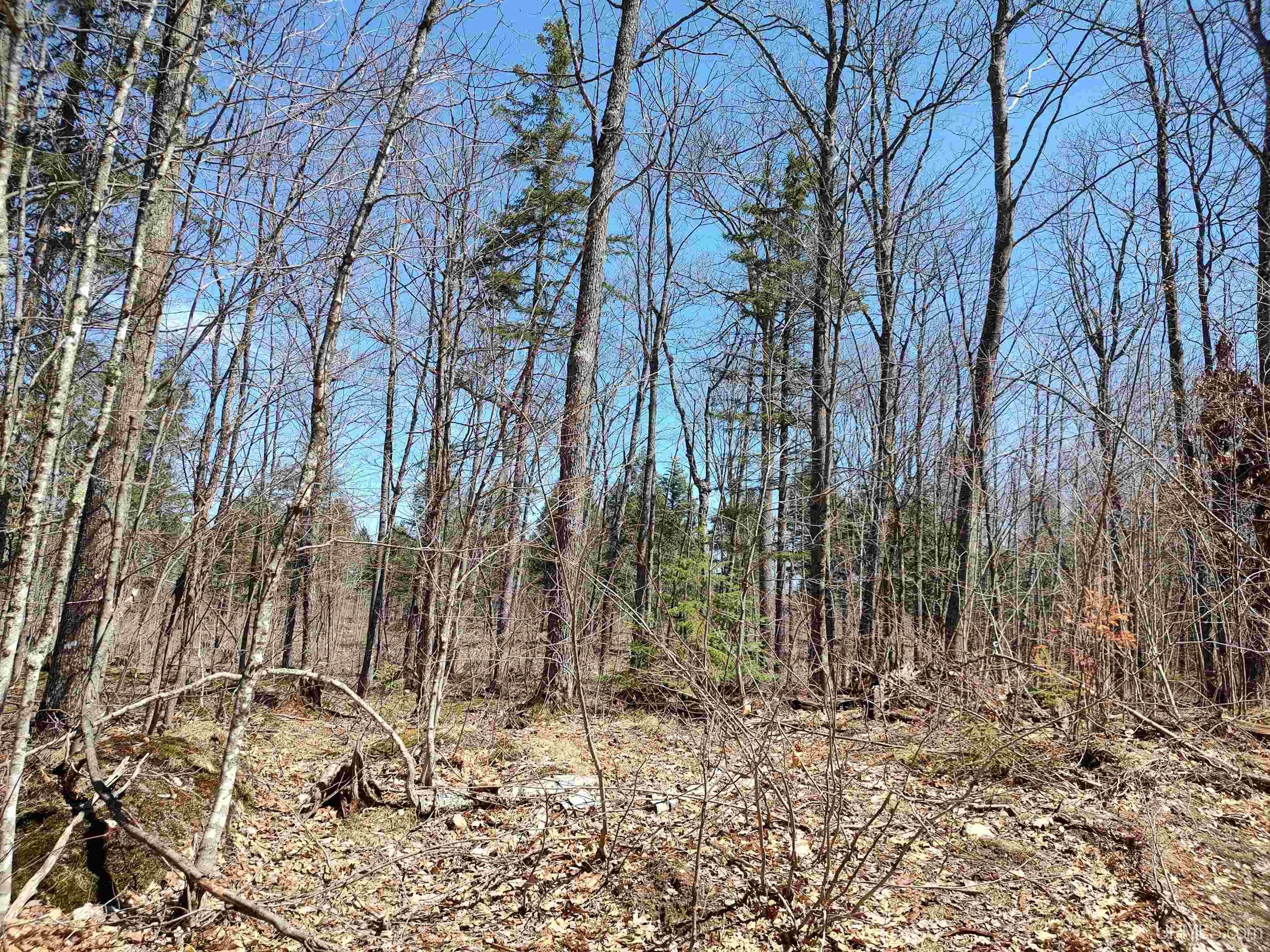 Tbd Black Creek Road Skanee, MI 49962 - Photo 5 of 13