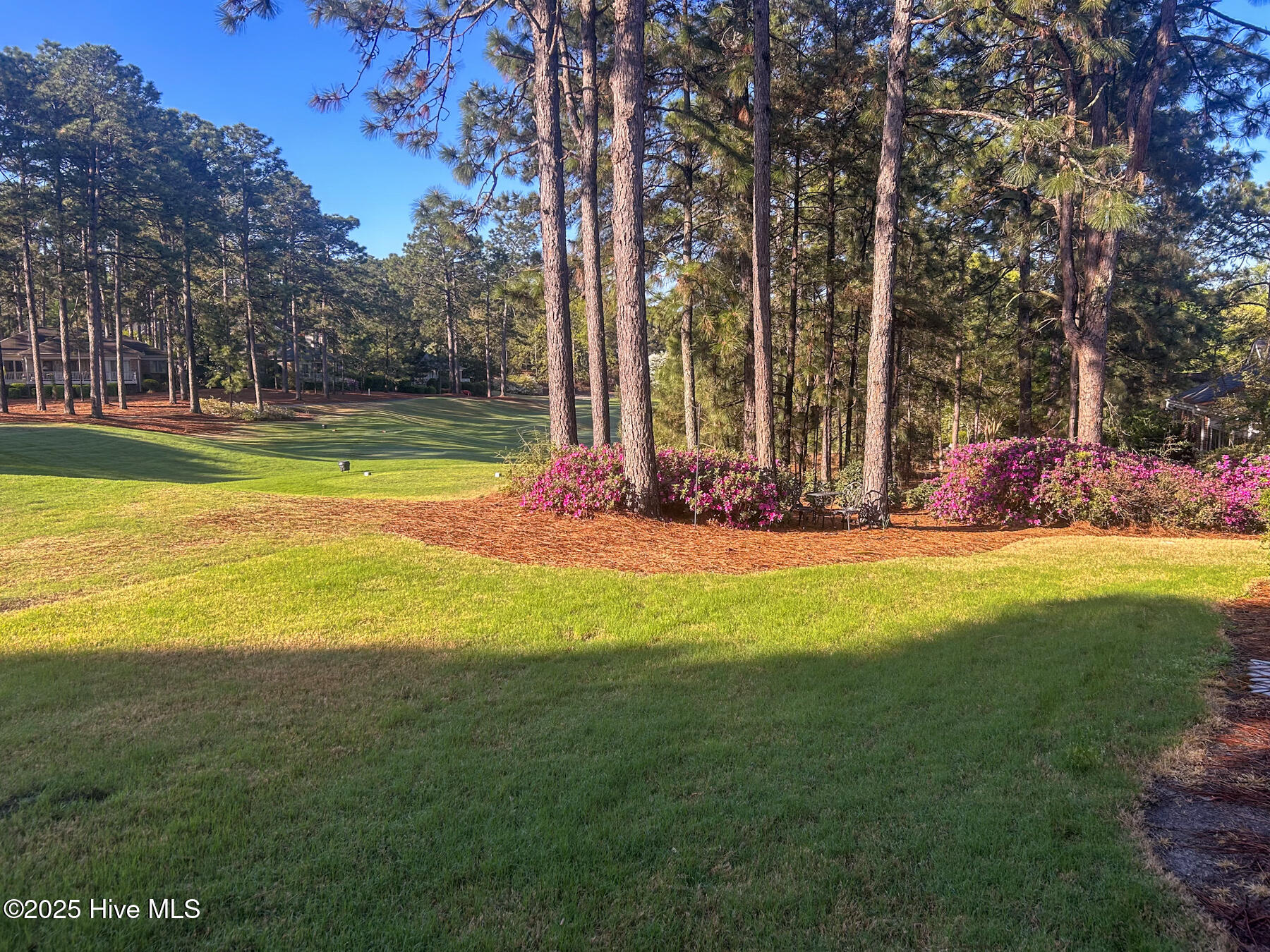 24 McNish Road Southern Pines, NC 28387 - Photo 38 of 41 back O1
