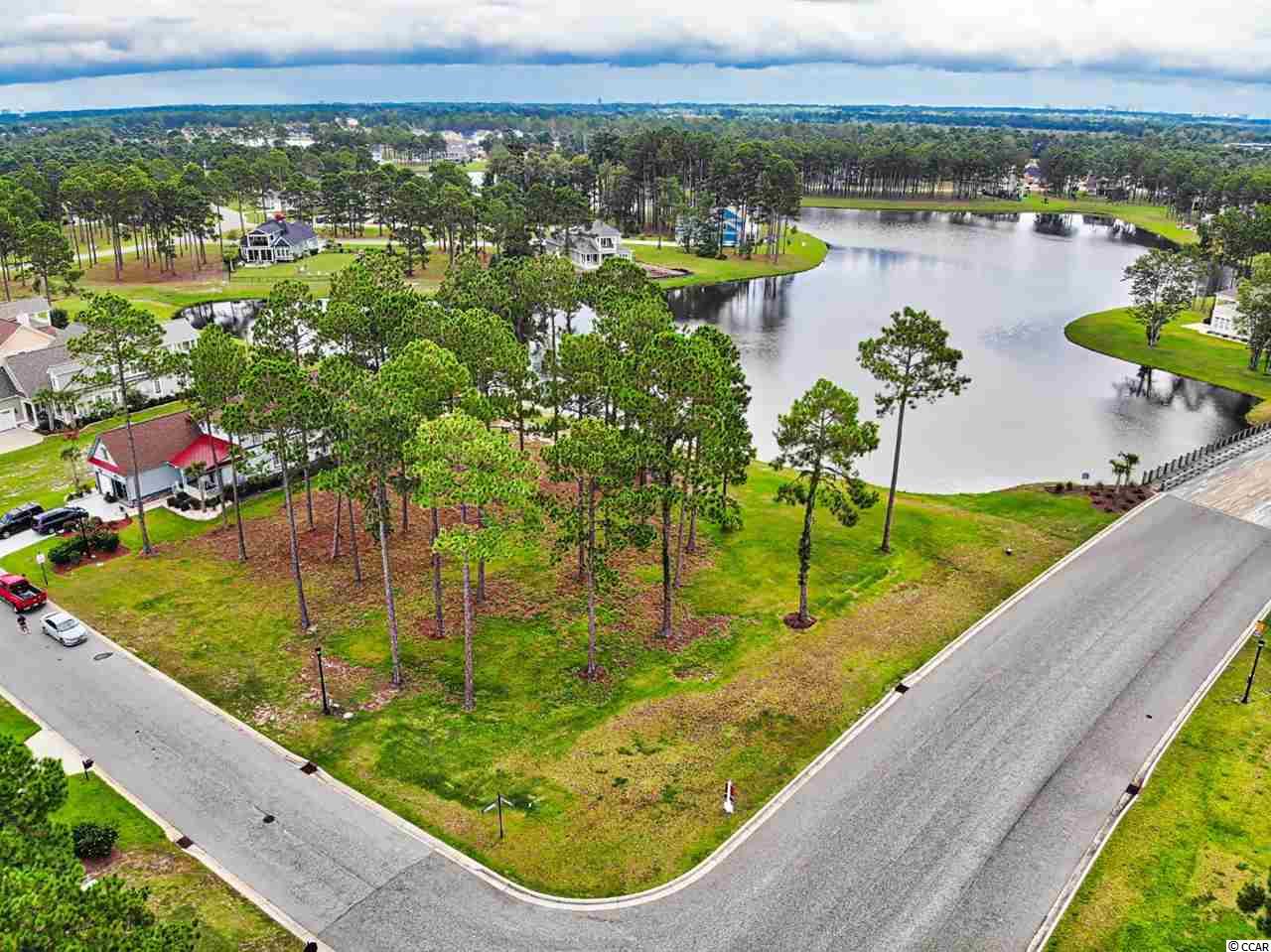 955 Fiddlehead Way Myrtle Beach, SC 29579 - Photo 4 of 27 Gallery Image 4