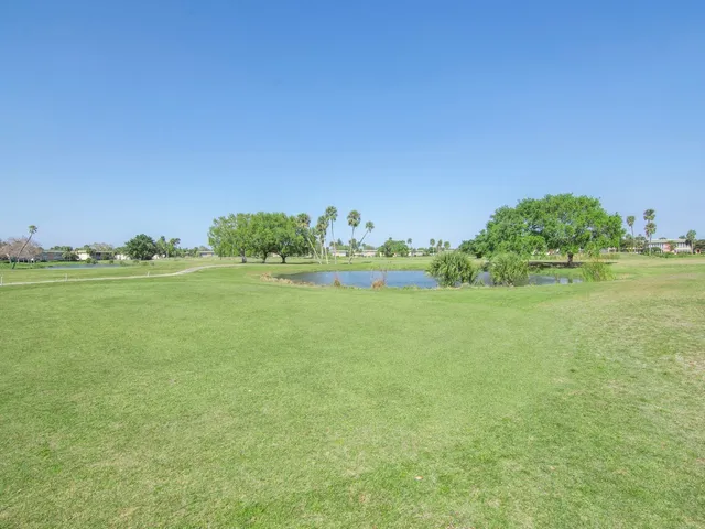 a view of a grassy field with trees