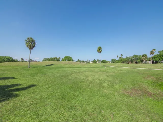 a view of a golf course with a tree