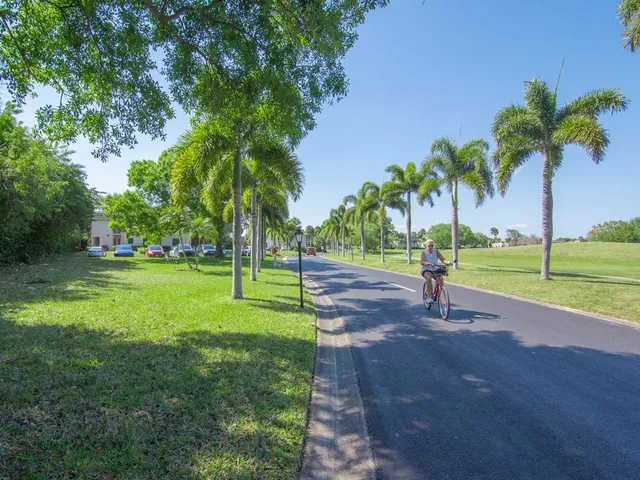 a view of a park with palm trees