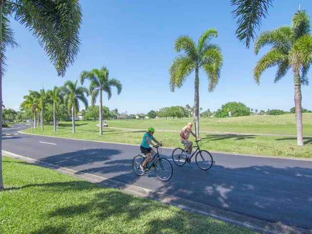 a view of a park with palm trees