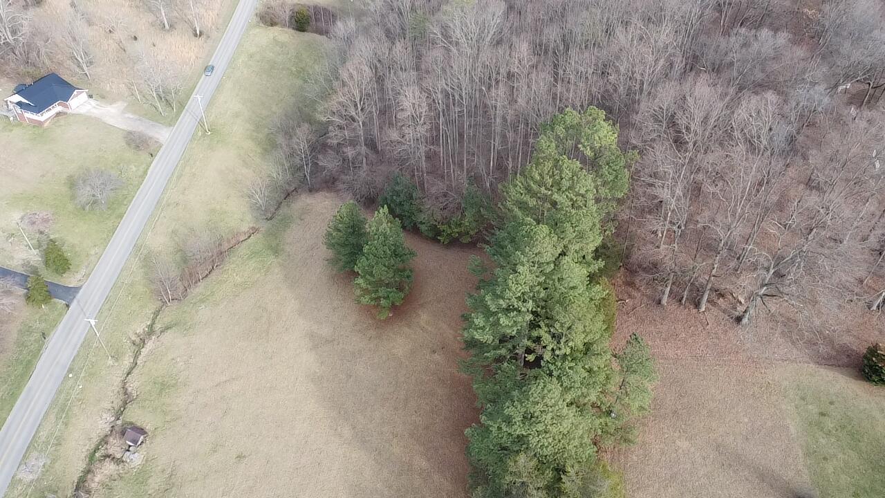 183 Hall Road, Unit 8 9 Jonesborough, TN 37659 - Photo 12 of 21 Above the trees!