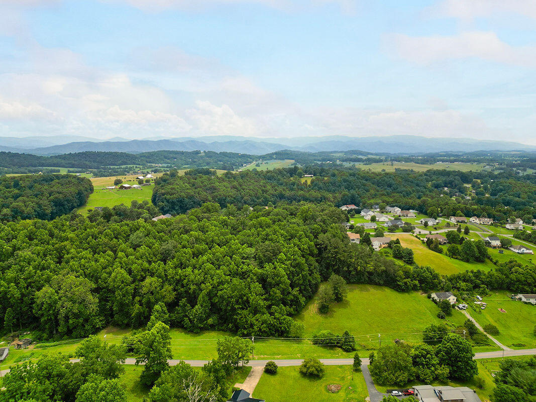 183 Hall Road, Unit 8 9 Jonesborough, TN 37659 - Photo 18 of 21 Mountain Scape!