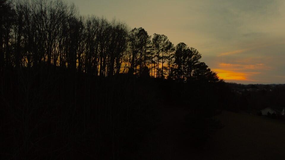 183 Hall Road, Unit 8 9 Jonesborough, TN 37659 - Photo 20 of 21 WOODS SUNSET