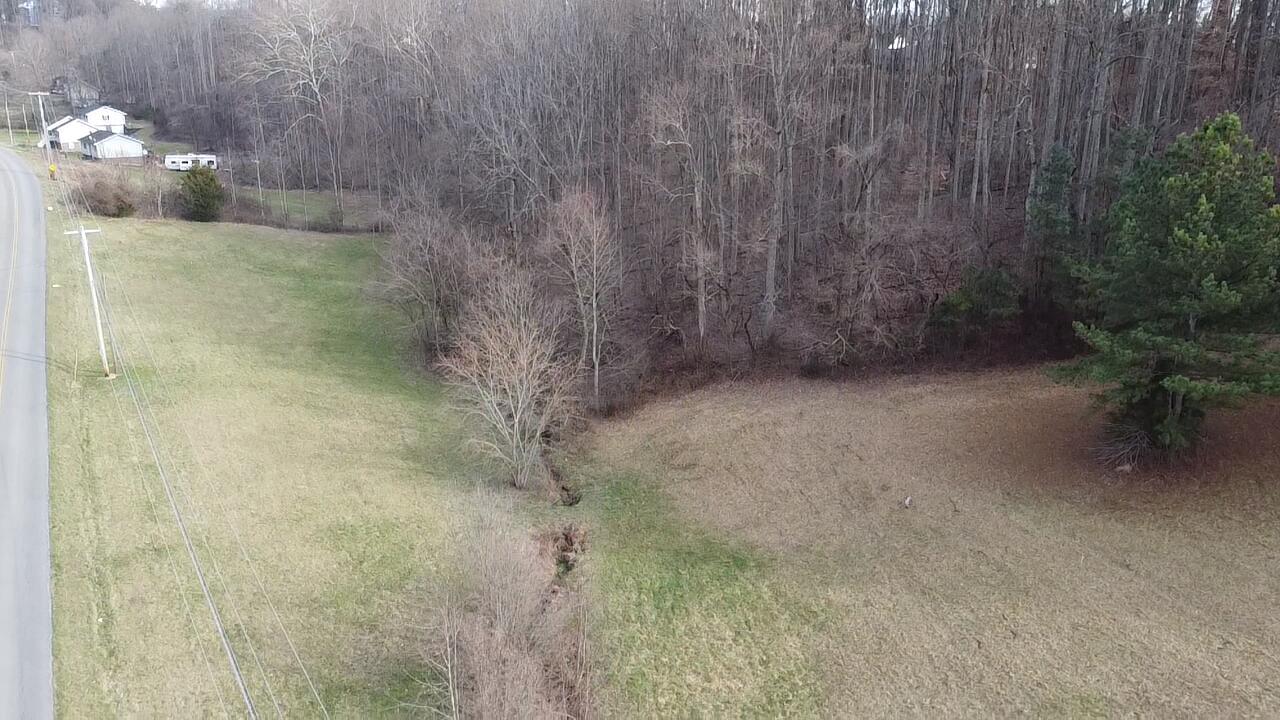 183 Hall Road, Unit 8 9 Jonesborough, TN 37659 - Photo 9 of 21 Pasture & Wooded!