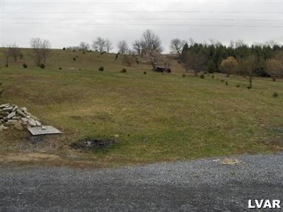 4438 Clover Hollow Road Slatington, PA 18080 - Photo 3 of 9 Yard