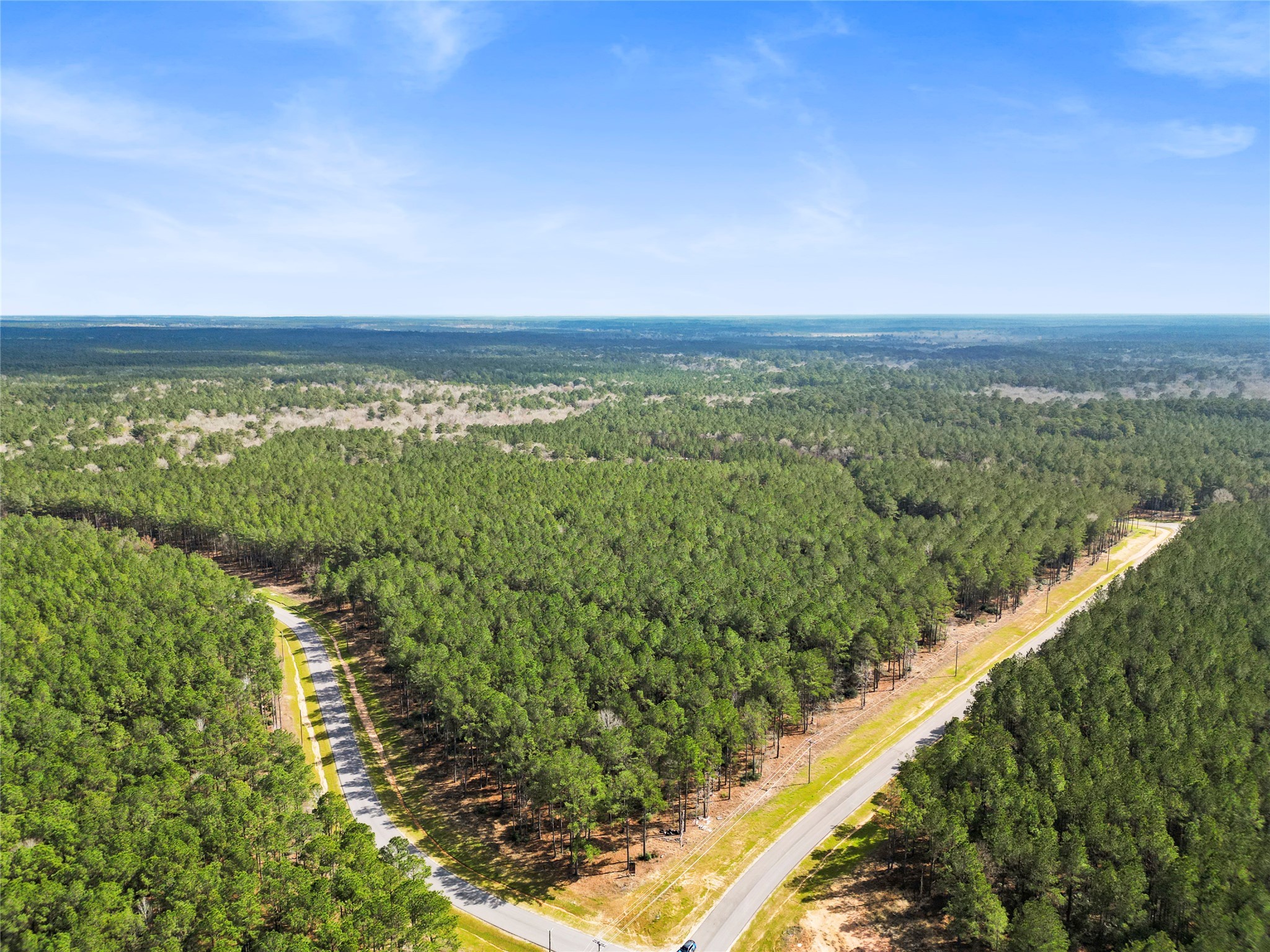 Tbd Queen Anne Way Huntsville, TX 77340 - Photo 4 of 13 a view of a city with lush green forest