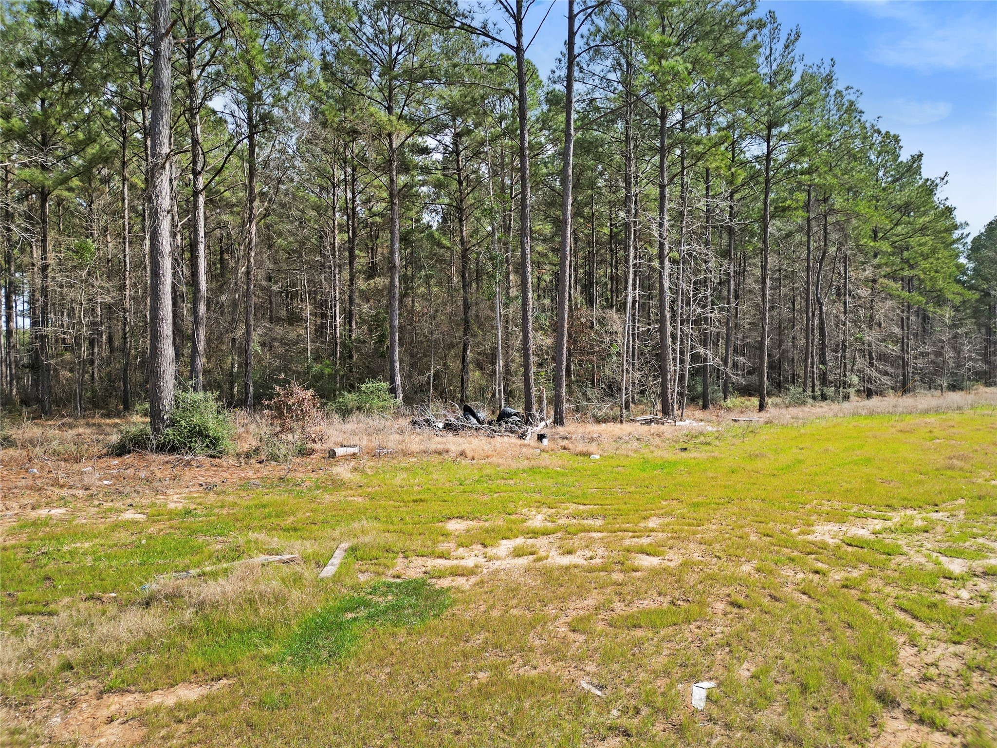 Tbd Queen Anne Way Huntsville, TX 77340 - Photo 5 of 13 a view of swimming pool with trees