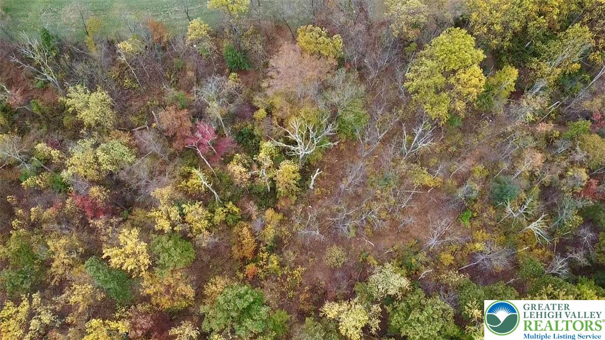 8568 Deer Road Slatington, PA 18080 - Photo 30 of 37