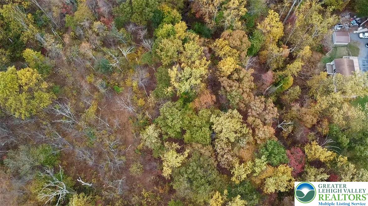 8568 Deer Road Slatington, PA 18080 - Photo 31 of 37 a view of a tree with a tree