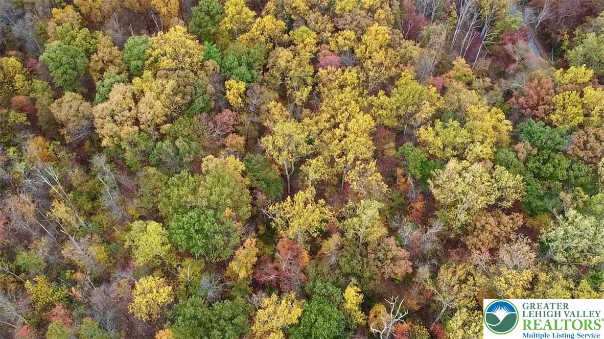 8568 Deer Road Slatington, PA 18080 - Photo 32 of 37 a view of a tree with a tree