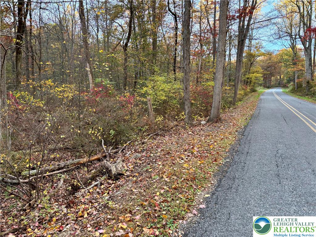 8568 Deer Road Slatington, PA 18080 - Photo 36 of 37 a view of a yard with trees