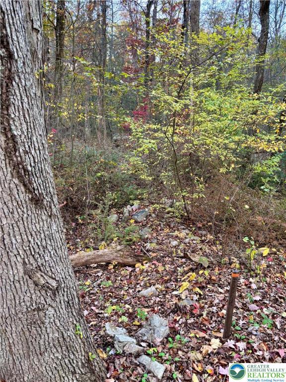 8568 Deer Road Slatington, PA 18080 - Photo 37 of 37 a view of a pathway both side of building