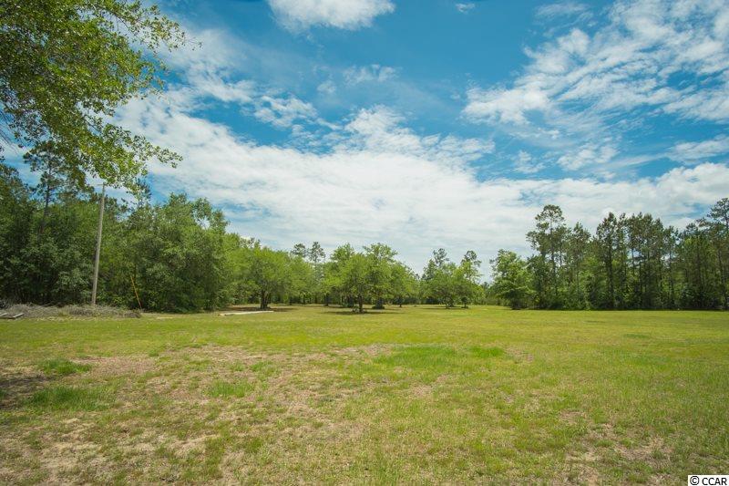 378 Pringle Ferry Road Georgetown, SC 29440 - Photo 40 of 40 Gallery Image 40