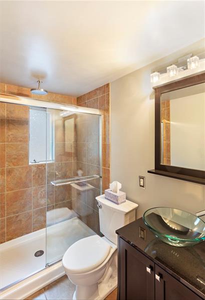 217 Oak Road Pittsburgh, PA 15239 - Photo 12 of 25 Main bath