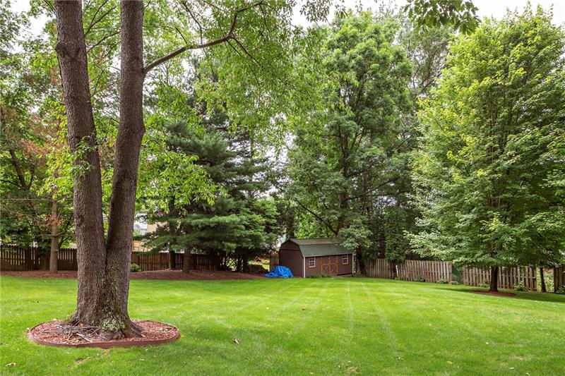 217 Oak Road Pittsburgh, PA 15239 - Photo 22 of 25 Geat back yard with a huge shed!