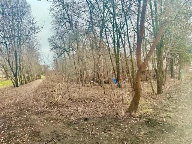 $3,500 | 318 Winter Avenue, Albert Lea, MN 56007