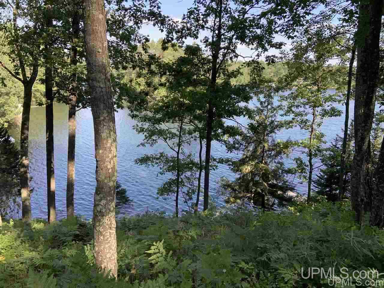 T-wi Tall Pines Road Florence, WI 54121 - Photo 3 of 5