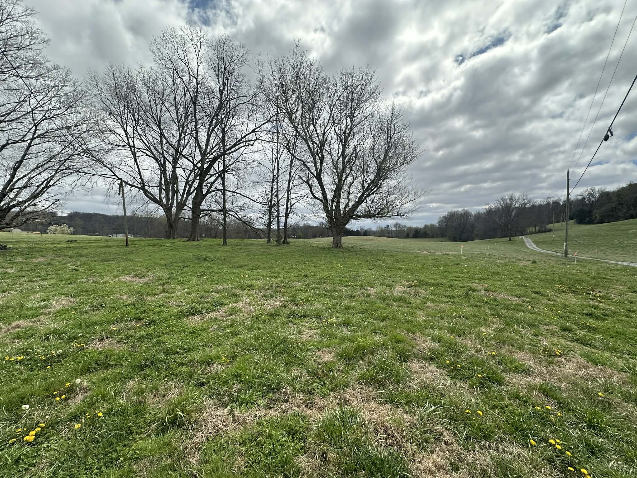 0 Upper Hilham Road Livingston, TN 38570 - Photo 3 of 3