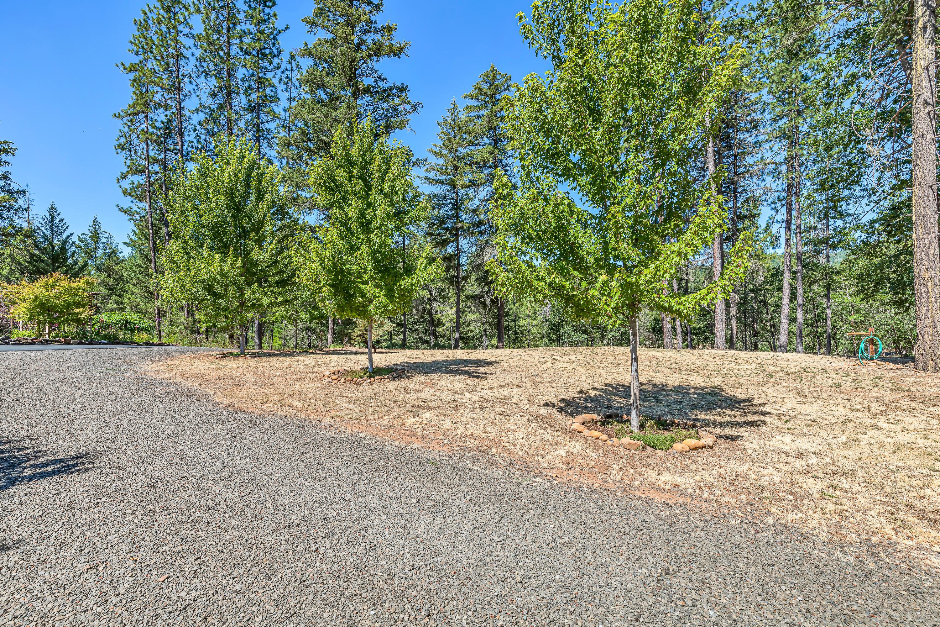68 Busch Road Trail, OR 97541 - Photo 59 of 75 9R9A0867