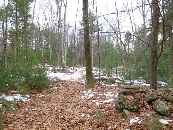 312 Fisk Road Hardwick, MA 01082 - Photo 3 of 5 Gallery Image 3