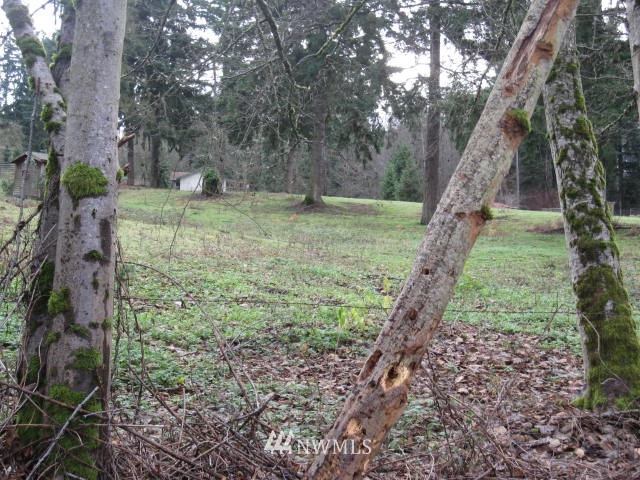 14702 Southeast 102nd Street Renton, WA 98059 - Photo 1 of 4