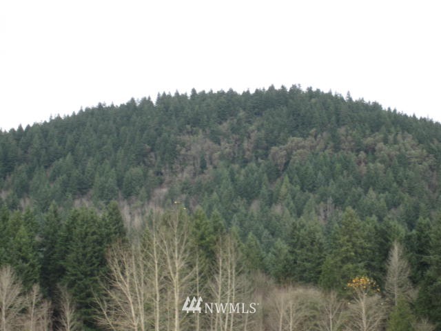 14702 Southeast 102nd Street Renton, WA 98059 - Photo 3 of 4