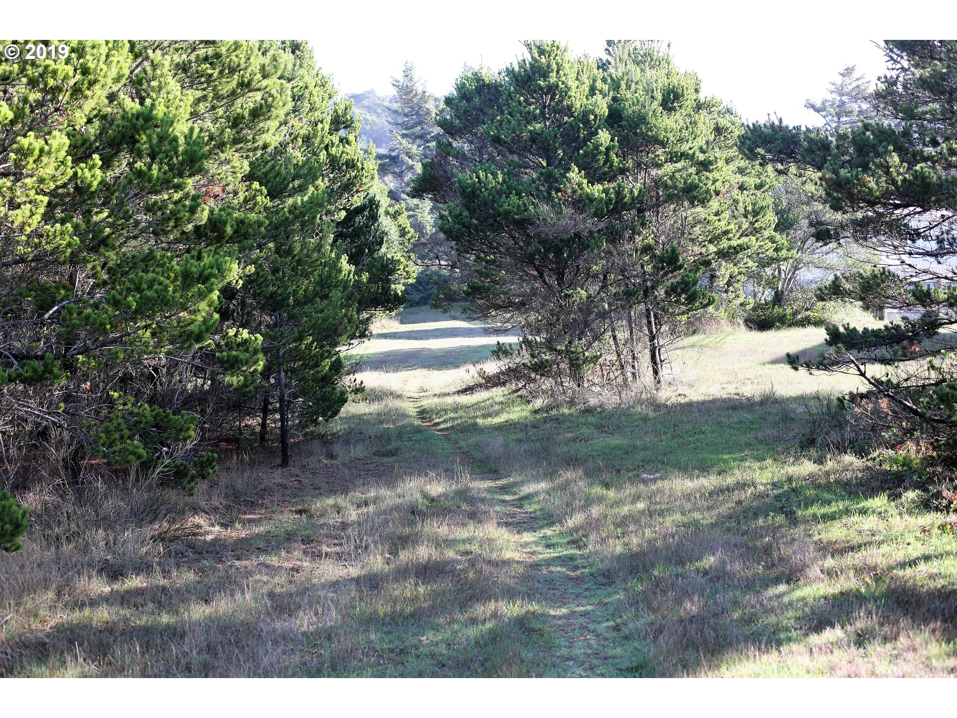 Nesika Road, Unit 3 Gold Beach, OR 97444 - Photo 3 of 6 a view of a yard with trees