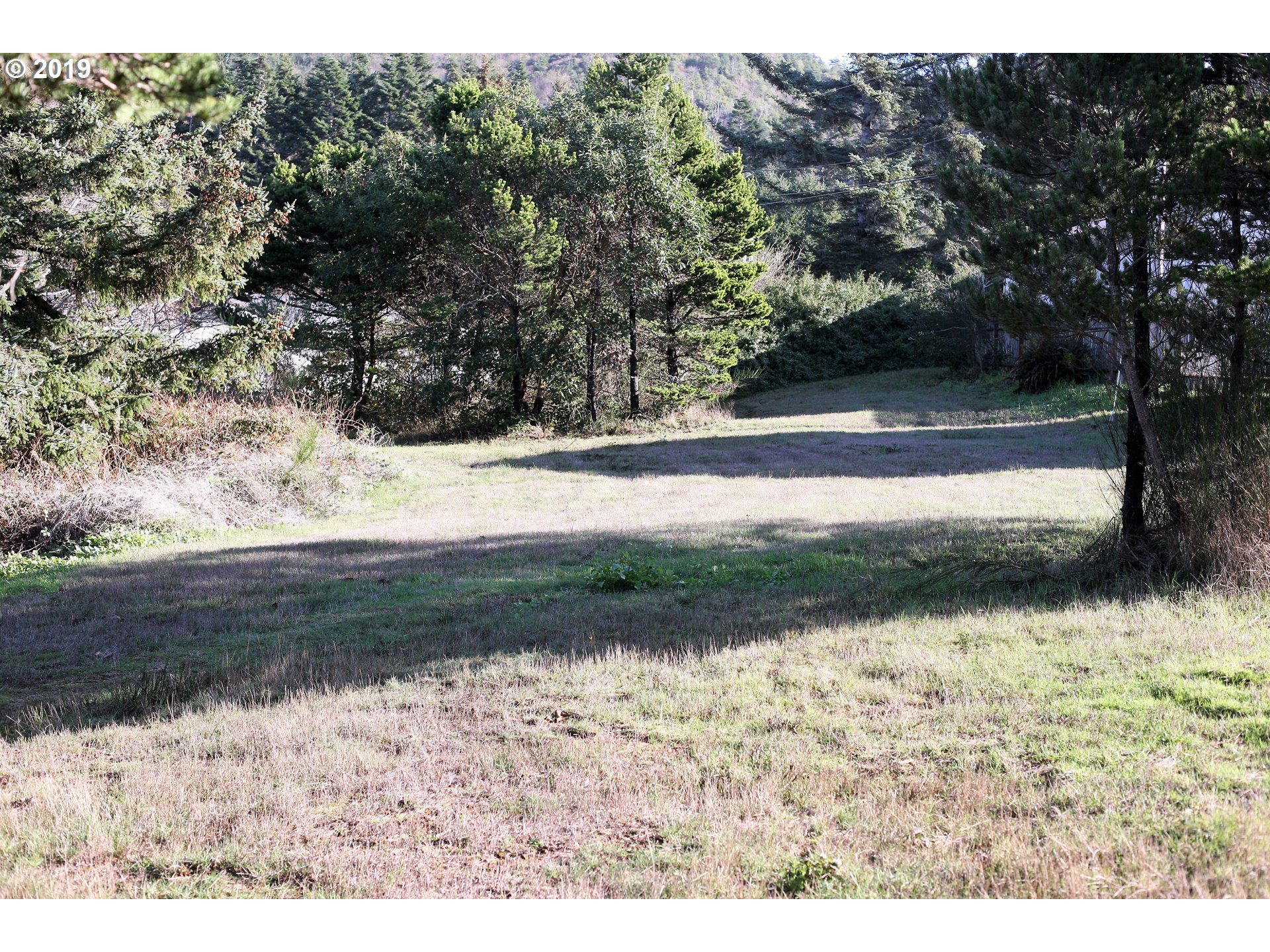 Nesika Road, Unit 3 Gold Beach, OR 97444 - Photo 4 of 6 a view of a yard with a tree