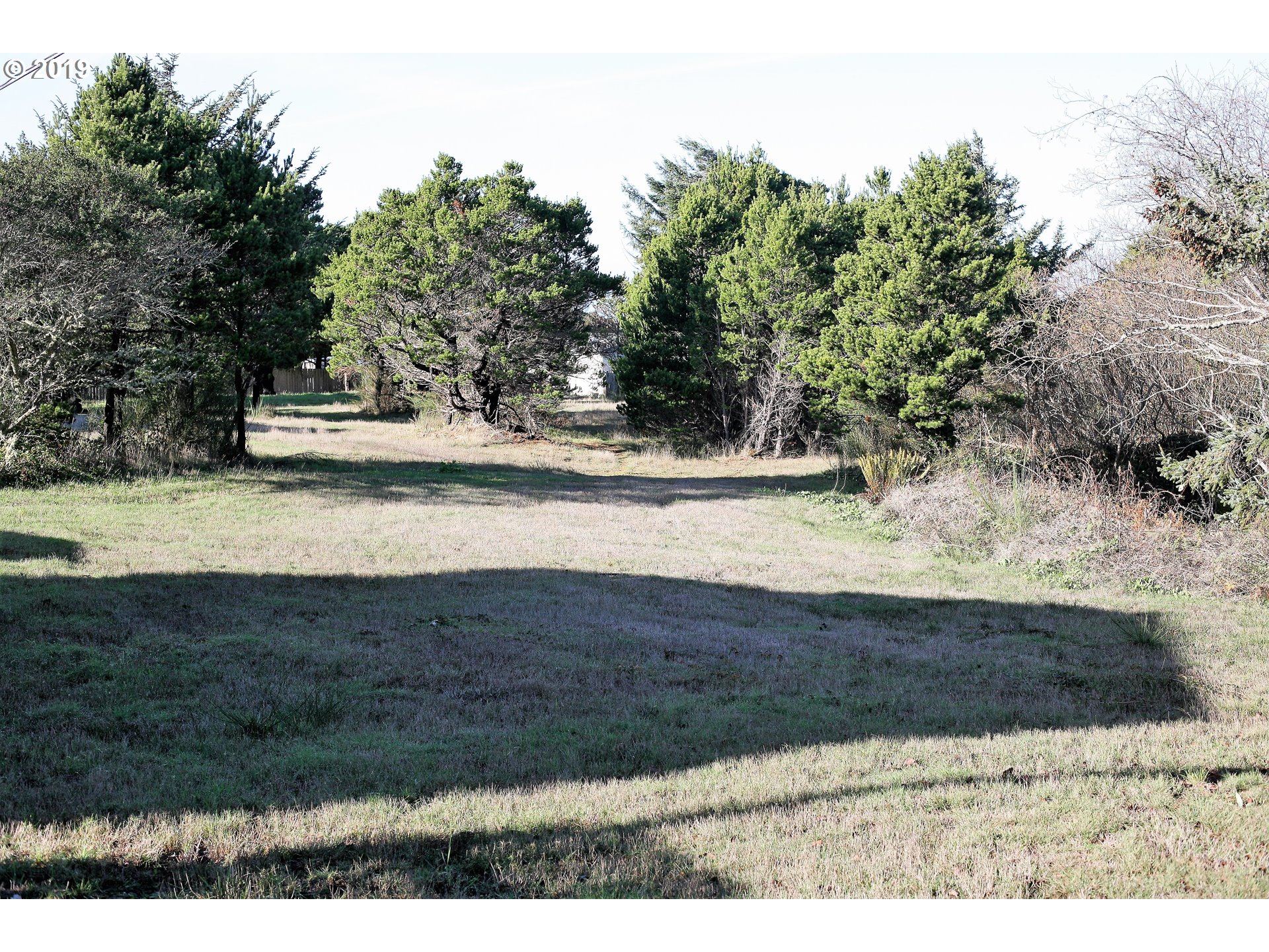 Nesika Road, Unit 3 Gold Beach, OR 97444 - Photo 5 of 6 a view of a yard with an trees