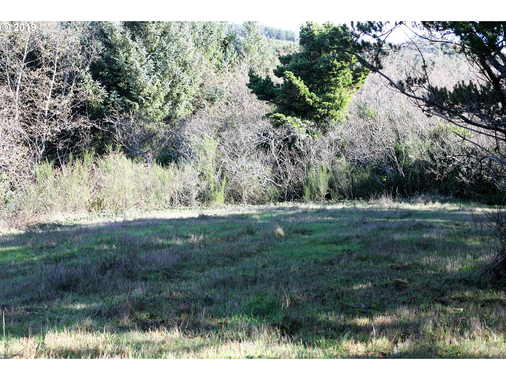 Nesika Road, Unit 3 Gold Beach, OR 97444 - Photo 6 of 6 a view of outdoor space and yard