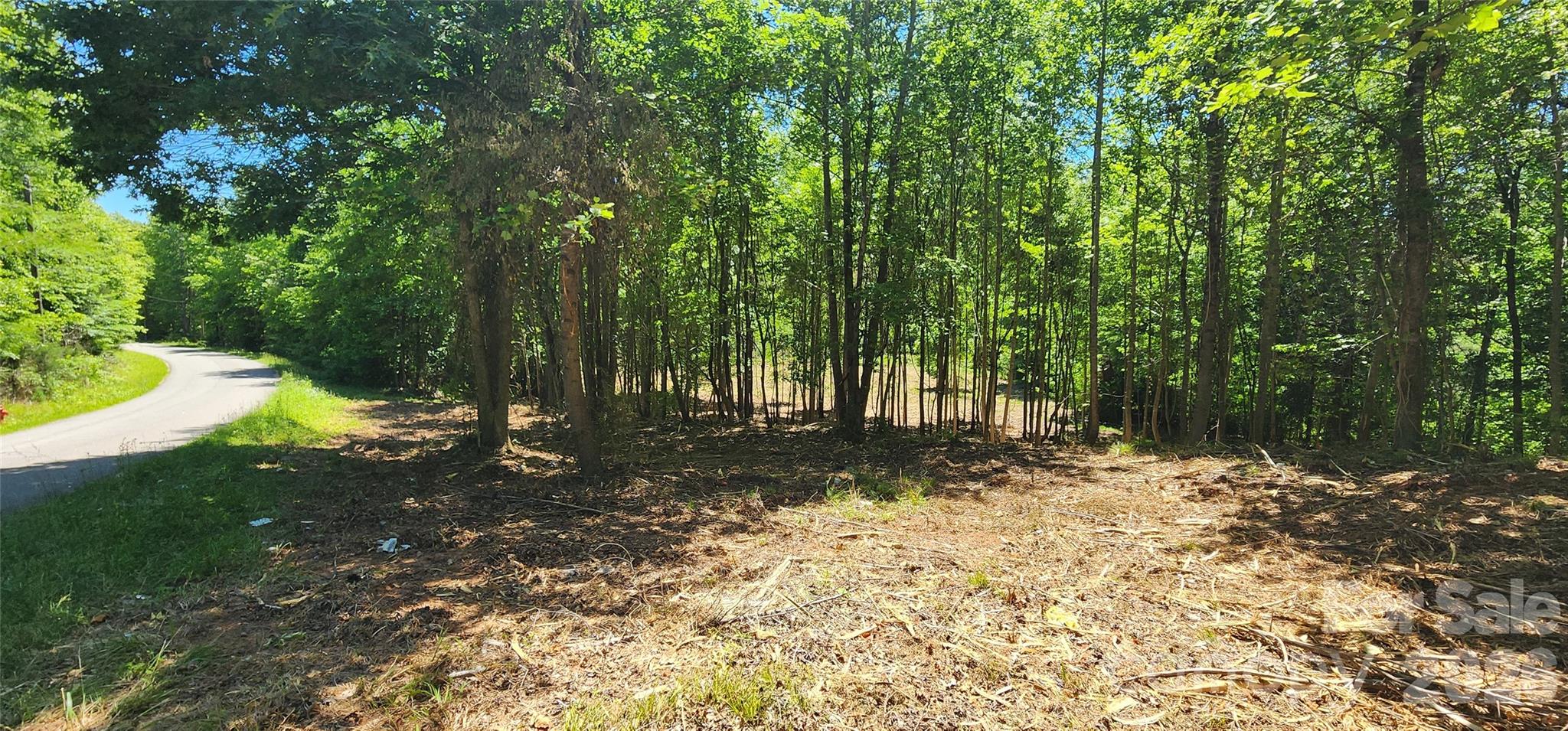 480 Brown Road Spartanburg, SC 29302 - Photo 26 of 47 a view of a yard with plants and trees